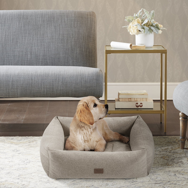 Martha stewart dog bed hotsell